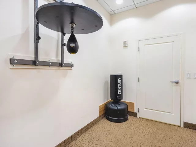 1-bedroom condo for rent in West Palm Beach - 701 S Olive Avenue 1209 - MondialRealty