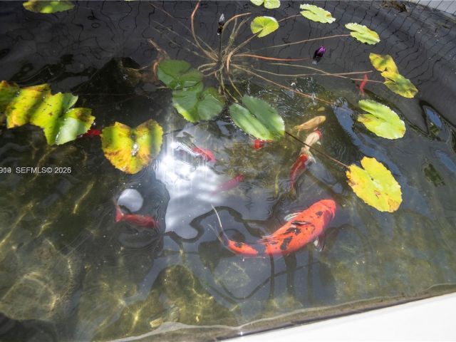 Apartment for rent  Unit #803 - photo 7524468