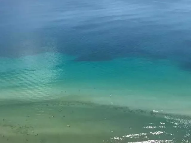 3-bedroom condo for rent in Hallandale Beach - 1850 S Ocean Drive 4202 - MondialRealty