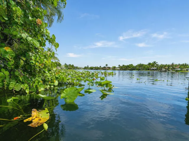 3-bedroom home for sale in West Palm Beach - 2395 Edgewater Drive - MondialRealty