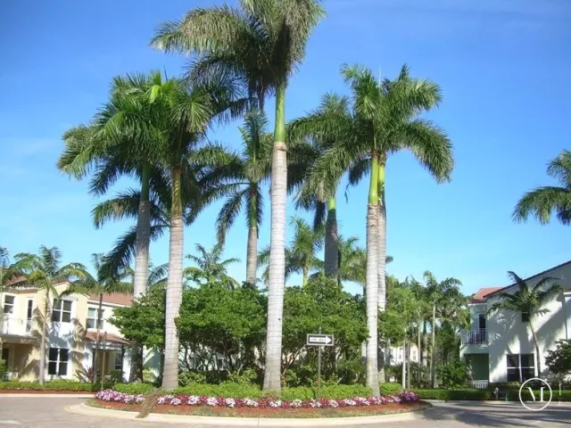 3-bedroom home for rent in Boca Raton - 5011 NW 15TH Terrace - MondialRealty
